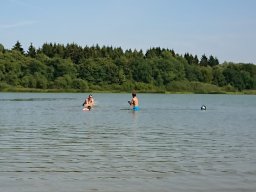 2018 Dreifelder Weiher